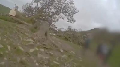Bodycam footage of the felled Sycamore Gap tree, from the first officer on the scene