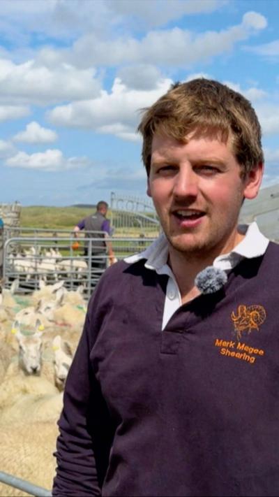 A man was fair, messy, mid length hair is wearing a purple top with a white collar. In the background are a group of sheep.