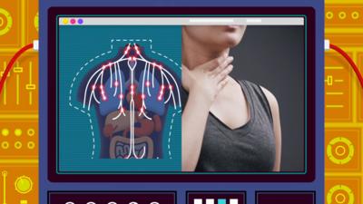 Illustration of computer monitor featuring a graphic of the immune system