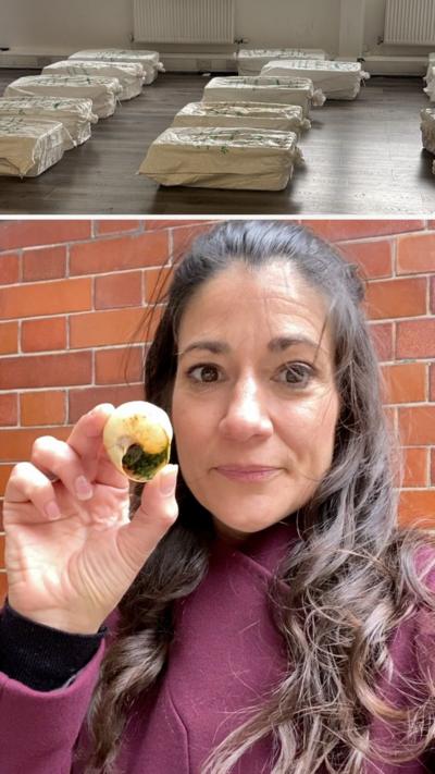 Top - White boxes containing snails seen on the ground of a London office.

Bottom - BBC reporter holds up edible snail.