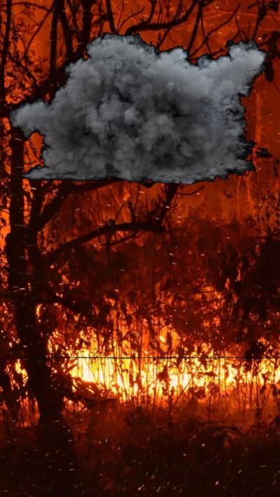 Wildfire