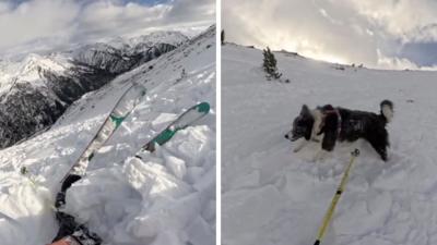 Skier swept by avalanche and dog seen in distance