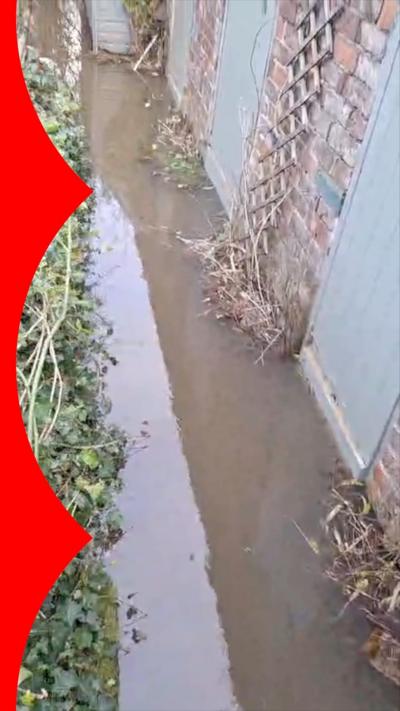 Brown liquid covers a garden pathway next to green leaves and a stone wall.