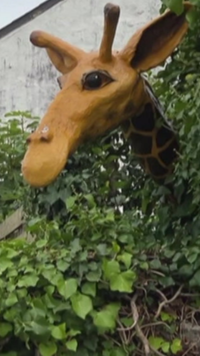 Before Julian was broken his head stuck out about 2.4 m (8ft) over Valerie's garden wall and was visible to motorists on the busy A30