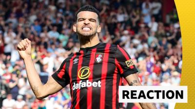 Bournemouth's Dominic Solanke celebrates his goal against Brentford