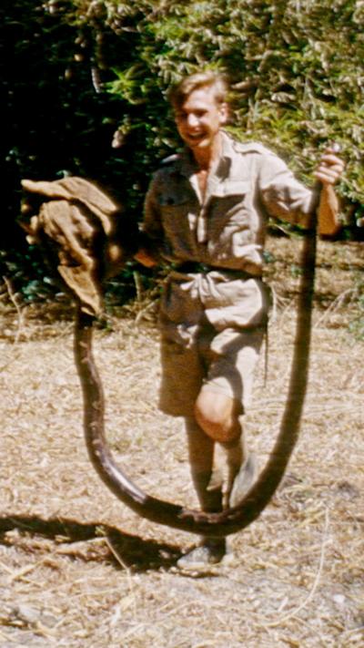 Younger Attenborough holding a large python in both hands as it dangles by its head and tail in a dry wooded area