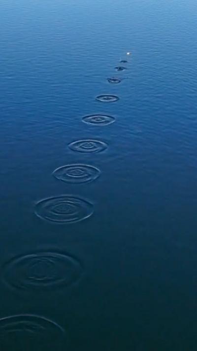 A stone bouncing over water leaving circular ripples