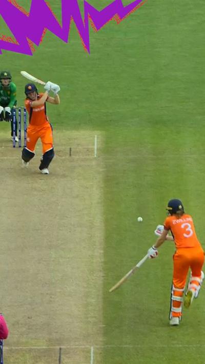 Netherlands fielders