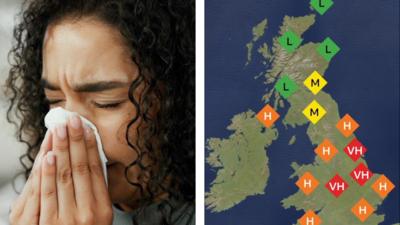 Composite image: Woman with curly hair blows her nose with a tissue. Second image: a map of the pollen levels in the UK.