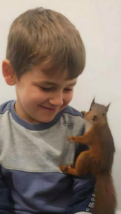 Percy the squirrel