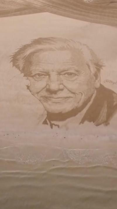 Sand art depiction of Sir David Attenborough, taken from above. His face is raked into the sand as he smiles to camera.