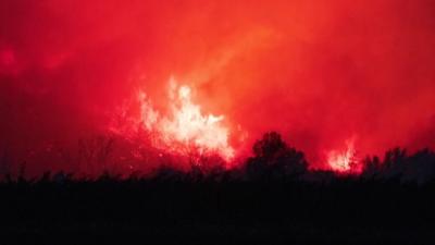 Wildfires engulf the landscape in southern France