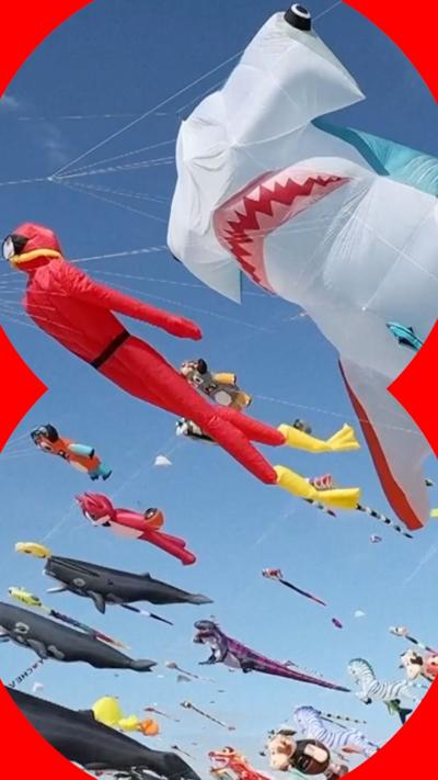 Kites shaped like fish launch against a blue sky