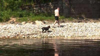 A man in shorts walks along a river on a hot day, followed by a dog with a stick.