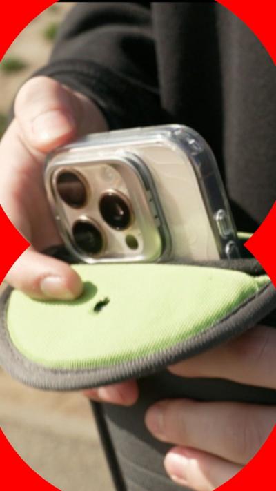 A person's hands placing a smartphone with a clear case into a small, lockable, green fabric pouch. 