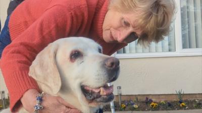 Rita Potter hugging her Labrador, Daisy who was returned seven years after being stolen.