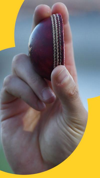 half cricket ball