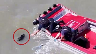 Two men in a boat reach over the side to grab a black dog swimming in the water.