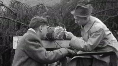 tree detective Mr Edlin and a 鶹Լ reporter inspect the stem of a tree