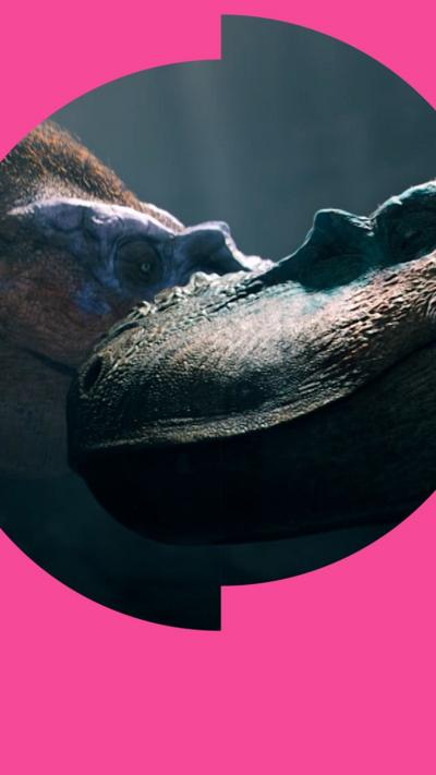 Two Albertosaurus nuzzle their snouts together
