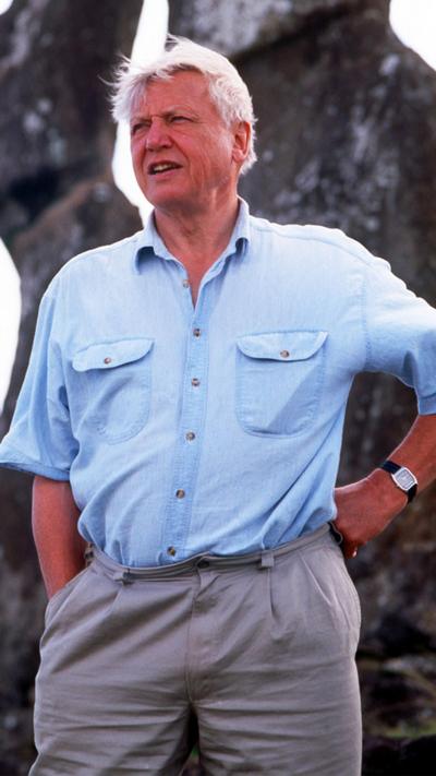 Attenborough, wearing his signature blue shirt and beige trousers, standing outdoors in front of tall rock formations and looking into the distance
