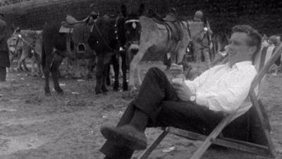 Reporter sits on a beach chair. There are ponies in the background