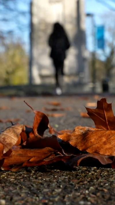 A woman running in a park with golden leaves on the floor