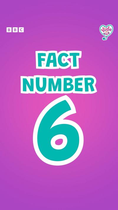 Fact Number 6