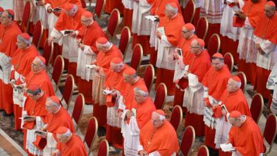 Cardinals dressed in religious attire stand in rows holding pamphlets.