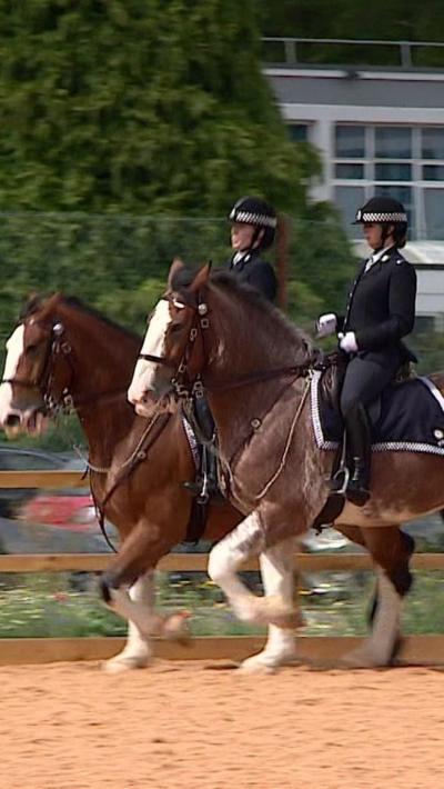 Two brown police horses in a sandy parade ring being ridden by two officers in full uniform