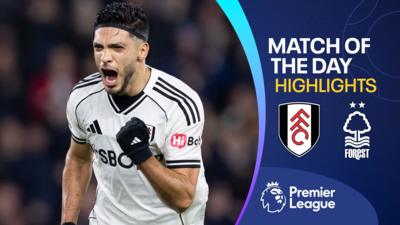 Fulham's Raul Jimenez
