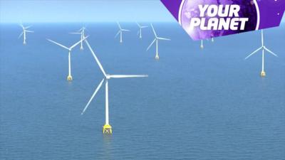 A windfarm at sea