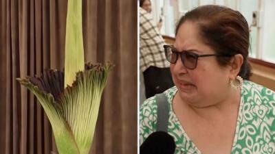 Split screen of "corpse flower" in bloom and woman scrunching her nose in disgust