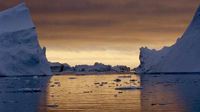 Icebergs in water