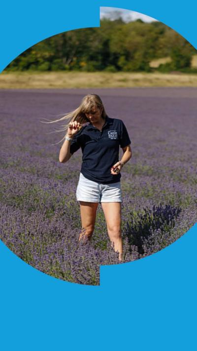 A worker in shorts and a t-shirt, with long blonde hair, checks a lavender crop at Castle Farm in Kent
