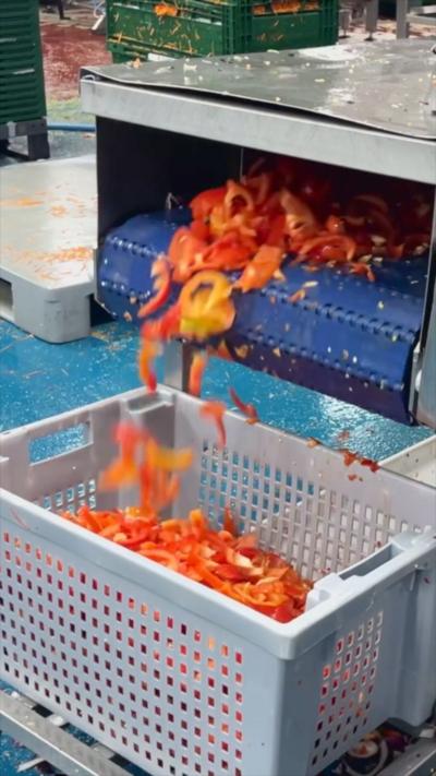 Red peppers being slice automatically