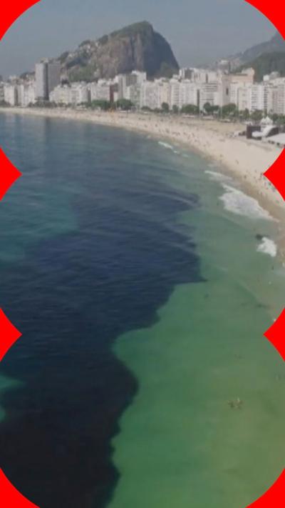 A school of anchovies seen from above, forming a dark path around three sea swimmers