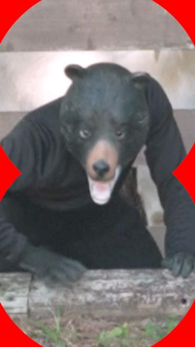 A man in a bear costume