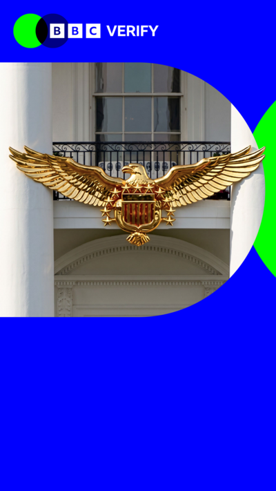 A fake image shows a golden eagle mounted on the front of the white house 