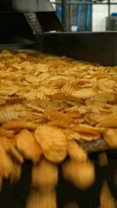 Crisps on a factory conveyor belt 