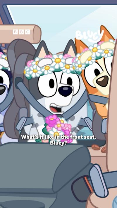 Muffin asks Bluey what it's like in the front seat of the car.
