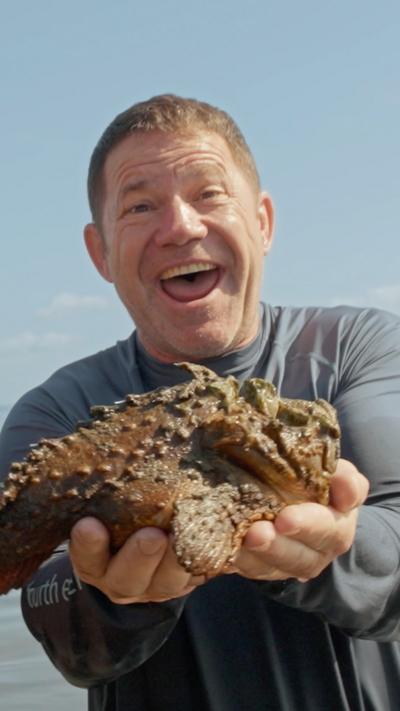 Who knows more about stonefish?