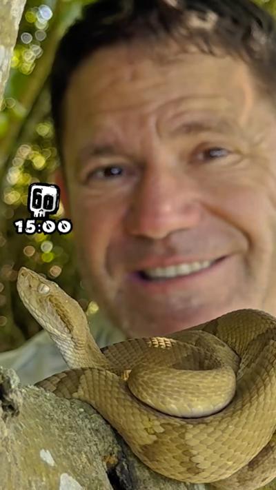 Can Steve find a snake on Snake Island?