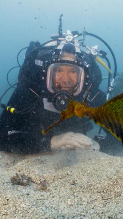 Top 3 Aussie animal encounters