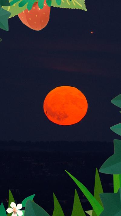 Moon