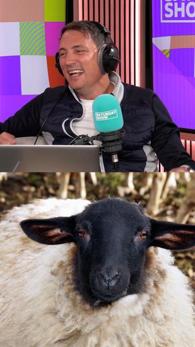 Listen to The Saturday Show on BBC Sounds