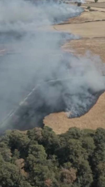 Smoke from a wildfire in a field