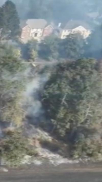 Smoke between trees near houses