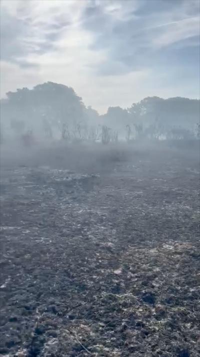 The damage caused by the fire in the New Forest.