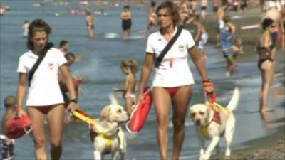 Dogs on patrol walking along an Italian beach